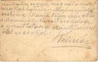 1904 Borszék, Borsec; fürdő, nyaralók / spa, villas (non PC) (kis szakadás / small tear)