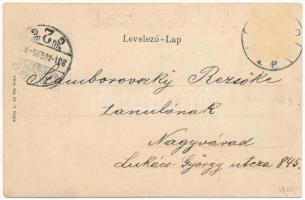 1901 Arad, Pénzügyi palota. Réthy L. és Fia kiadása. Szecessziós virágos litho keret / Palace of Fin...