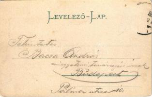 Arad, Vértanú szobor. Ifj. Klein Mór kiadása / statue, monument (Rb)