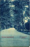 1912 Zsombolya, Hatzfeld, Jimbolia; Gróf Csekonics-féle kastély kertje. W.L. 430. / castle park (EM)