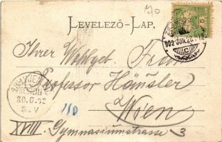 1902 Zsombolya, Hatzfeld, Jimbolia; Polgári fiúiskola. Perlstein F. kiadása / boy school (EK)