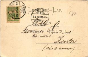 1904 Karánsebes, Caransebes; Szálloda és Villa Lichtneckert a Zöld fához, gyümölcsös. H. Rosenfeld k...