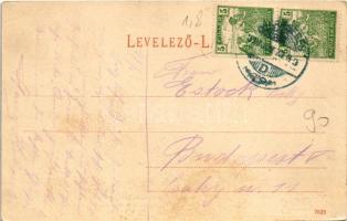 1918 Karánsebes, Caransebes; Lichtneckert szálloda, Rosenfeld H. üzlete és saját kiadása / Warenhaus...