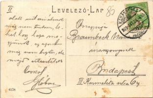 1909 Karánsebes, Caransebes; Piata Maria Teresia / Mária Terézia tér, Szántó üzlete / square, shops ...