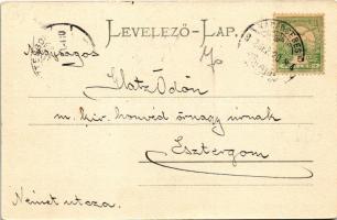 1902 Karánsebes, Caransebes; vízesés vashíddal. H. Rosenfeld kiadása / Eisenbahnbrücke mit dem Wasse...