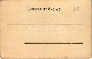 Kolozsvár, Cluj; Szentegyház utca, Státus paloták, Fogel Antal üzlete / street view, palaces, shops ...