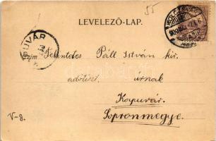 1900 Kolozsvár, Cluj; látkép, Széky palota / general view, palace (EK)