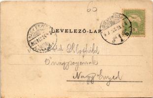 1902 Zalatna, Zlatna; utca részlet, üzletek. Folbert Vilmos kiadása / street view, shops (felületi s...