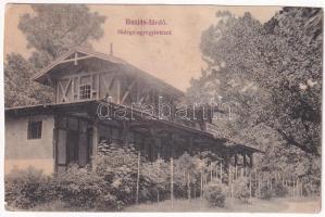 Buziásfürdő, Baile Buzias; Hidegvízgyógyintézet / spa, bathhouse (r)