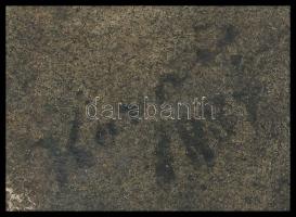 Olvashatatlan jelzéssel, feltehetően XIX. sz. végén működött magyar festő: Pihenő lány, 1880-as évek...