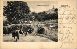 1904 Budapest III. Remetehegy, Etelka villa, vízhordó szamarak a kútnál
