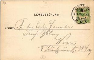 1904 Budapest III. Remetehegy, Etelka villa, vízhordó szamarak a kútnál