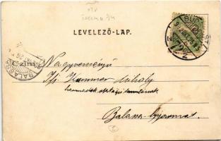 1902 Budapest XIV. M. kir. állami felső építőipari iskola. Kohn Simon kiadása. Thököly út 74