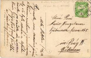 1916 Nyíregyháza, Kis Andris, a világ legkisebb rikkancsa (újságárusítója), 23 éves és 88 cm magas. ...