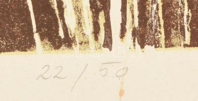 Bálványos Huba (1938-2011): Júdáspénz, 1981. Litográfia, papír. Jelzett. Számozott: 55/50. Lapszéli ...