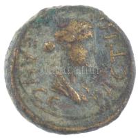 Római Birodalom / Lydia / Magnesia ad Sipylum Livia i.e. 37- 14 AE16 bronz (3,57g) T:3 patina, perem...