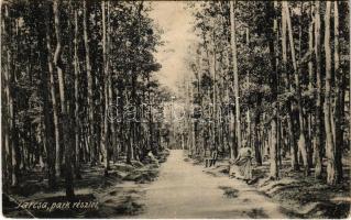 1906 Tarcsa, Tarcsafürdő, Bad Tatzmannsdorf; Park részlet / spa, park (EK)
