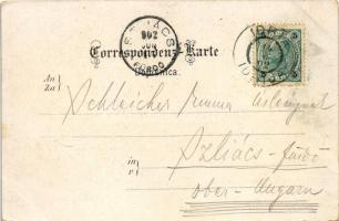 1902 Idrija, Idria; Zgalnica, Mesto Idrija, Gesarja Josefa rov, Inzaghi rov, Terezije rov. Art Nouve...