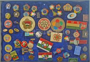 ~50 darabos vegyes jó állapotú magyar és külföldi kitűző tétel, közte műgyantás és zománcozott darabokkal, műanyag tálcán ~50 pieces mixed hungarian and foreign resin and enamelled pin lot in plastic tray