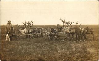 1916 Tobolsk, Tobolszk; Nordic Sami (Laplander) family with reindeer.sleighs and dog. photo (EK)