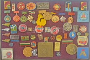 ~50 darabos vegyes jó állapotú magyar és külföldi kitűző tétel, közte műgyantás és zománcozott darabokkal, műanyag tálcán ~50 pieces mixed hungarian and foreign resin and enamelled pin lot in plastic tray