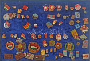 ~200 darabos vegyes jó állapotú magyar és külföldi kitűző tétel, közte műgyantás és zománcozott dara...