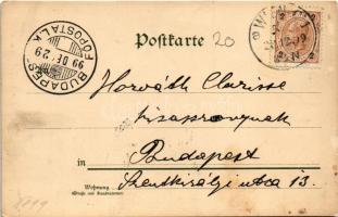 1899 (Vorläufer) Glückliches Neujahr! / New Year greeting art postcard with Art Nouveau lady and pig...