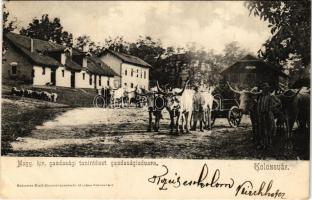 1905 Kolozsvár, Cluj; Magy. kir. gazdasági tanintézet gazdasági udvara, ökrös szekér. Schuster Emil kiadása / agricultural farm schools yard, ox cart (EK)