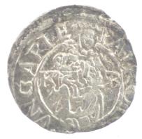 1575K-B Denár Ag "Miksa" (0,50g) T:2 repedés
Hungary 1575K-B Denar Ag "Maximilian&qu...
