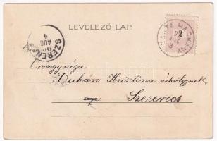 1899 (Vorläufer) Buziás, fürdő szálló, híd / spa hotel, bridge. Kunstanstalt Kosmos 146. litho