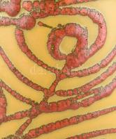 Pesthidegkút korall sorozat kerámia váza, jelzett: CSM, hibátlan, d: 40 cm. Tervező: Csizmadia Margi...