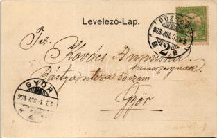 1903 Pozsony, Pressburg, Bratislava; látkép a régi ligettől, vár / Ansicht von der Pötschenau / gene...