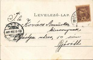 1901 Pozsony, Pressburg, Bratislava; látkép, vár / general view, castle