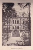 Marilla, Marila; Kemény fedeles nem képeslapos könyvecske 23 oldallal. Gross Gyula tulajdona / Hard ...