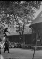 cca 1930 A budapesti állatkertben készített 2 db fotónegatív majmok ügyességi bemutatójáról, 9×6 cm