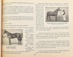 A Kisalföldi Mezőgazdasági Kamara 1942. évi jelentése. Sztrázsik Andor Dénes m. kir. gazdasági főtan...