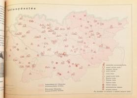 A Kisalföldi Mezőgazdasági Kamara 1942. évi jelentése. Sztrázsik Andor Dénes m. kir. gazdasági főtan...