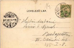 1902 Budapest XIV. Városliget, Közlekedésügyi múzeum. Divald Károly 40. sz