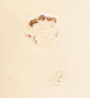 M. J. Hummel jelzéssel!: Postakocsi. Kopásokkal, pici gyártástechnológiai repedés. m: 14,5 cm, h: 22...