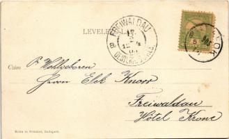 1905 Budapest XXII. Budafok, Dunasor a Takarékpénztár épületével. Kohn és Grünhut kiadása (EK)