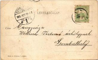 1905 Budapest XXII. Budafok, Anna utca északról tekintve, villa. Kohn és Grünhut kiadása (EK)