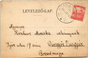 1918 Hernádvécse, Hernád-Vécse; Báró Sardagna János kastélya télen (fl)