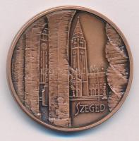 Fűz Veronika (1951-) DN "A magyar kultúra napja / Szeged" kétoldalas bronz emlékérem (42mm...