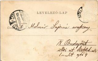 1904 Szőlősgyörök, Szőlős-Györök; Fő utca télen. Weisz Ignác kiadása (Rb)