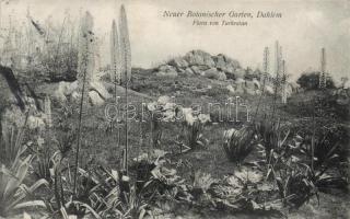 Dahlem botanic garden