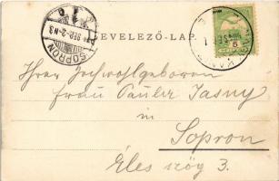 1904 Nagykanizsa, Hotel Korona szálloda, üzletek