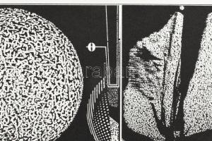 Joseph Kádár (1936-2019): Dualité. Szitanyomat, papír, jelzett, számozott (93/100), hátoldalán a műv...