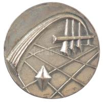 DN Szilikátipari Tudományos Egyesület - A szilikátiparért kétoldalas ezüstözött fém emlékérem (62mm) T:2