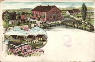 Bredaerbruch litho (b)