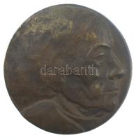 1930? Portré / 1848-1930 kétoldalas bronz emlékérem (90mm) T:1-,2